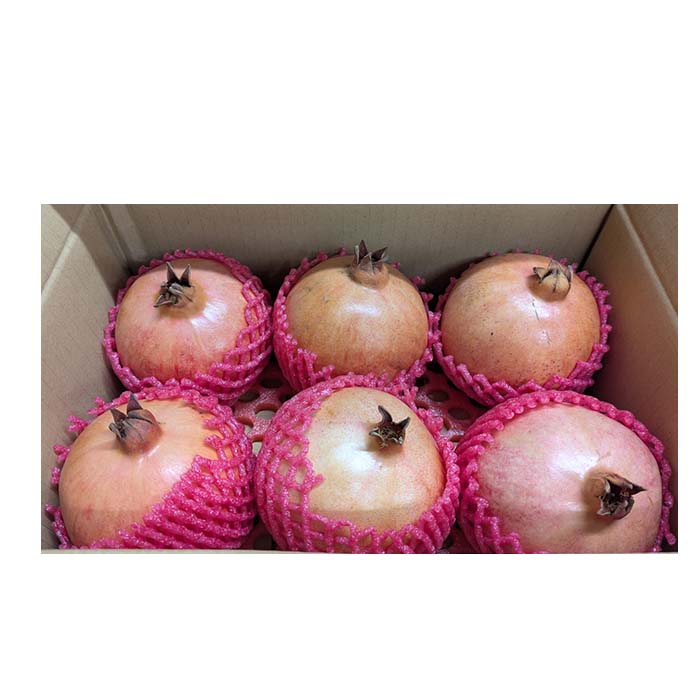 6pcs uzbekistan pomegranate