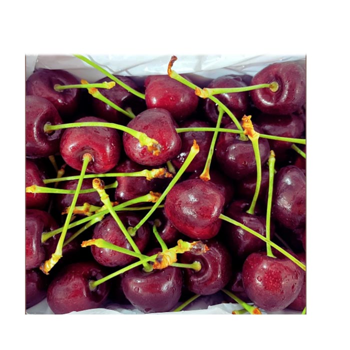 Cherry 26mm